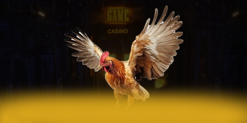 Đánh giá LC88 - Cổng game uy tín số 1 được giới cược thủ tin tưởng
Đánh giá LC88 - Cổng game uy tín số 1 được giới cược thủ tin tưởng