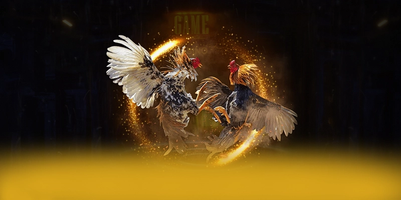 LC88 - Thương hiệu game trực tuyến giá trị nhất 2025 – Cập nhật ngay LC88 LC88 - Thương hiệu game trực tuyến giá trị nhất 2025 – Cập nhật ngay LC88