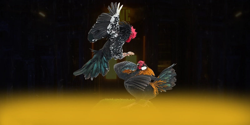 CONGA6789 – Cổng game hàng đầu Việt Nam, được cộng đồng đánh giá tích cực. CONGA6789 – Cổng game hàng đầu Việt Nam, được cộng đồng đánh giá tích cực.