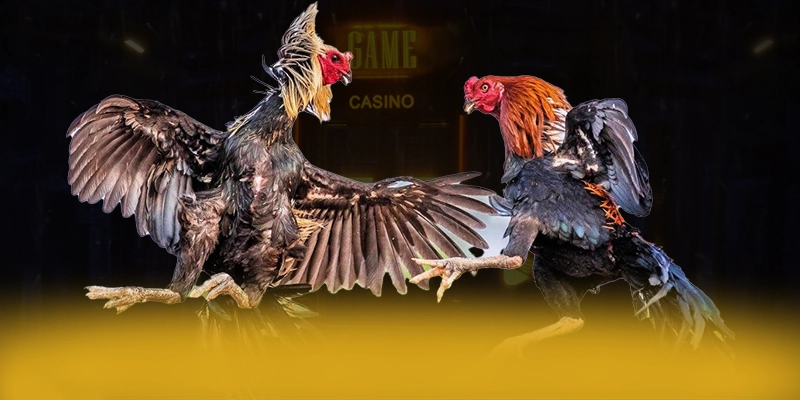 DAGA88 - Nhà cái có nhiều event hấp dẫn tại Việt Nam – Khám phá chương trình DAGA88 DAGA88 - Nhà cái có nhiều event hấp dẫn tại Việt Nam – Khám phá chương trình DAGA88