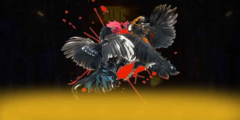 789WIN - Cổng game ổn định được cộng đồng đánh giá cao