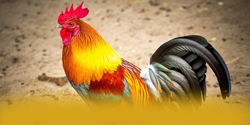 CONGA6789 - Cổng giải trí với nhiều tựa game đổi thưởng hấp dẫn 2025 – Khám phá CONGA6789 CONGA6789 - Cổng giải trí với nhiều tựa game đổi thưởng hấp dẫn 2025 – Khám phá CONGA6789