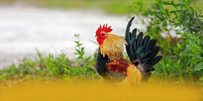 tài xỉu online - Hệ thống trò chơi trực tuyến quy tụ nhiều siêu phẩm hot đang làm mưa làm gió trên thị trường – Khám phá top tài xỉu online