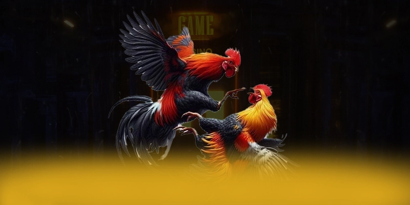 tỷ lệ kèo bóng đá - Đánh giá chung về thương hiệu từ cộng đồng game thủ.