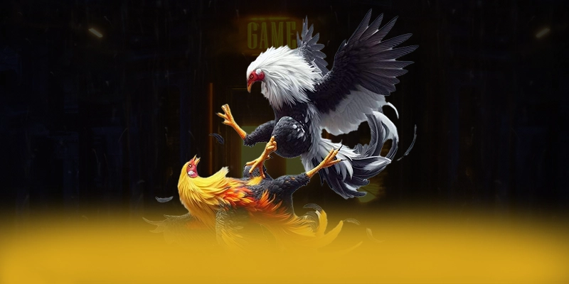 
Điểm nổi bật tại WIN79 - Cổng game đẳng cấp được cộng đồng đánh giá cao
