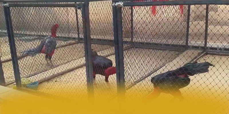 FAFA191 - Thương hiệu quy tụ nhiều siêu phẩm hot được giới cược thủ tin tưởng – Trải nghiệm siêu phẩm độc quyền tại FAFA191