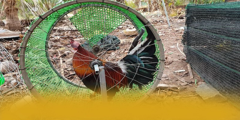 tài xỉu online - Sân chơi ưu đãi khủng được người chơi tin tưởng – Khám phá ưu đãi hot của tài xỉu online