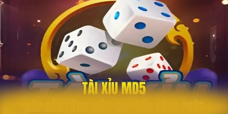 Review chi tiết ZBET - Nhà cái uy tín chất lượng cao tại Việt Nam