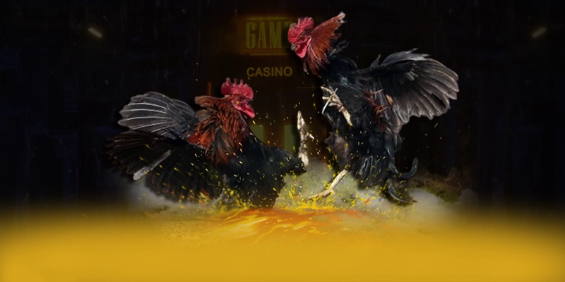 8XBET - Sảnh game sở hữu kho game phong phú hiện nay