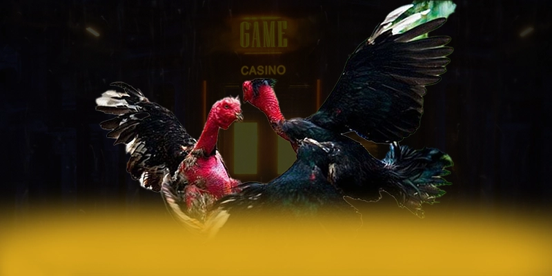 Đánh giá Socolive - Trang cá cược thể thao hàng đầu dành cho fan thể thao Đánh giá Socolive - Trang cá cược thể thao hàng đầu dành cho fan thể thao