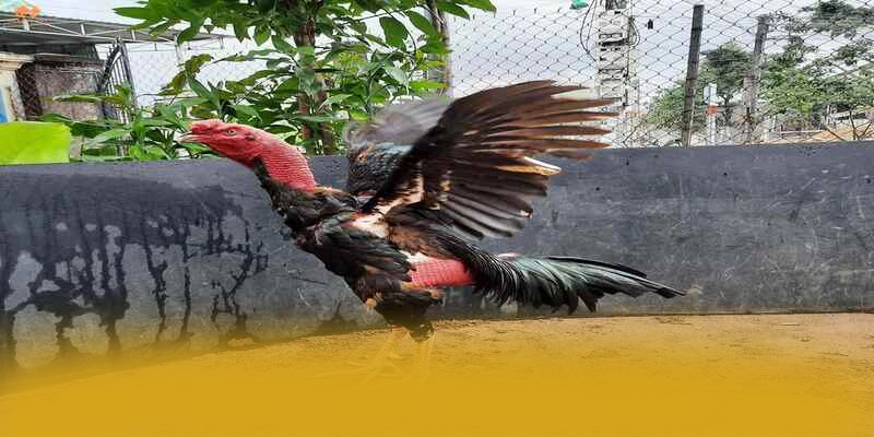 Đội ngũ chăm sóc khách hàng tại 8XBET