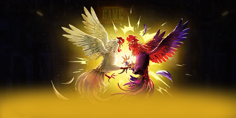 8XBET - Cổng game sở hữu kho game phong phú 2026